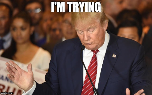 Trump Drops Ball | I'M TRYING | image tagged in trump drops ball | made w/ Imgflip meme maker