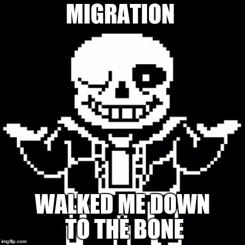 Sans | MIGRATION; WALKED ME DOWN TO THE BONE | image tagged in sans | made w/ Imgflip meme maker
