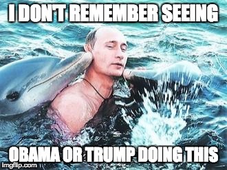Putin Dolphins | I DON'T REMEMBER SEEING; OBAMA OR TRUMP DOING THIS | image tagged in putin dolphins | made w/ Imgflip meme maker