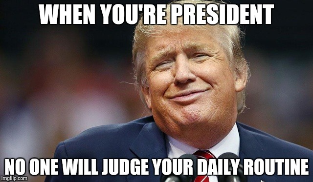 Trump Oopsie | WHEN YOU'RE PRESIDENT NO ONE WILL JUDGE YOUR DAILY ROUTINE | image tagged in trump oopsie | made w/ Imgflip meme maker