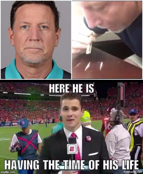 image tagged in miami,dolphins,sergio,sergio dipp,dipp,football | made w/ Imgflip meme maker