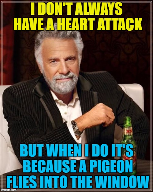 The pigeon was OK - a bit chewy but OK... :) | I DON'T ALWAYS HAVE A HEART ATTACK; BUT WHEN I DO IT'S BECAUSE A PIGEON FLIES INTO THE WINDOW | image tagged in memes,the most interesting man in the world,pigeons,heart attack,fright,animals | made w/ Imgflip meme maker