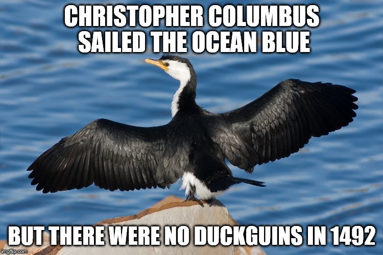 Duckguin | CHRISTOPHER COLUMBUS SAILED THE OCEAN BLUE; BUT THERE WERE NO DUCKGUINS IN 1492 | image tagged in duckguin | made w/ Imgflip meme maker
