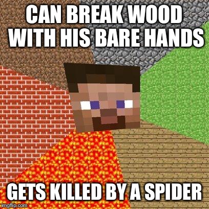 Minecraft Steve | CAN BREAK WOOD WITH HIS BARE HANDS; GETS KILLED BY A SPIDER | image tagged in minecraft steve | made w/ Imgflip meme maker