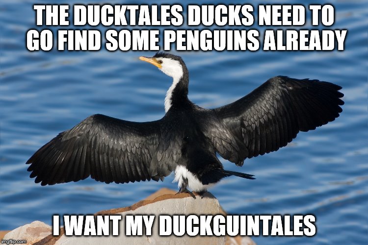 Duckguin | THE DUCKTALES DUCKS NEED TO GO FIND SOME PENGUINS ALREADY; I WANT MY DUCKGUINTALES | image tagged in duckguin | made w/ Imgflip meme maker