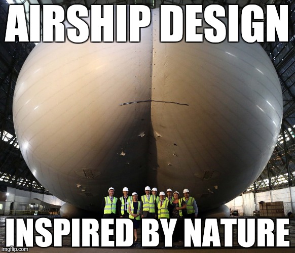Some engineers be like… | AIRSHIP DESIGN; INSPIRED BY NATURE | image tagged in memes,funny,engineer | made w/ Imgflip meme maker