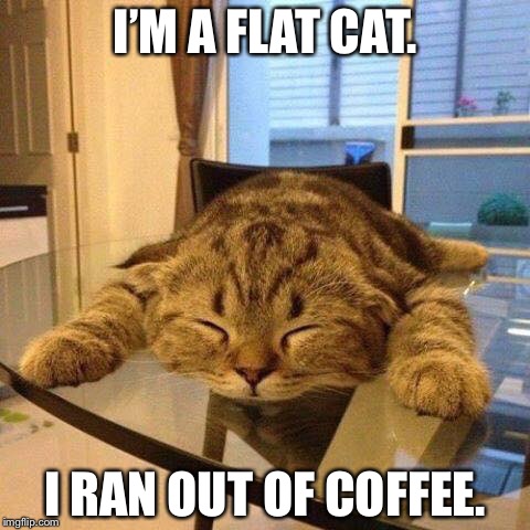 Coffee cat | I’M A FLAT CAT. I RAN OUT OF COFFEE. | image tagged in coffee addict | made w/ Imgflip meme maker