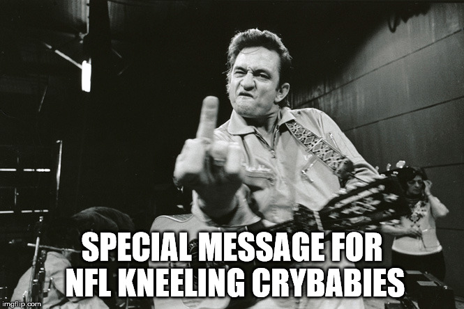 Bird | SPECIAL MESSAGE FOR NFL KNEELING CRYBABIES | image tagged in bird | made w/ Imgflip meme maker