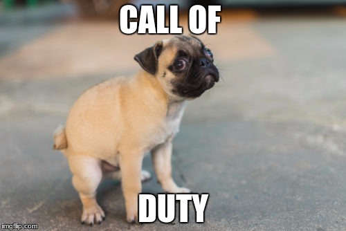 How Dogs Play Warfare | CALL OF; DUTY | image tagged in call of duty | made w/ Imgflip meme maker