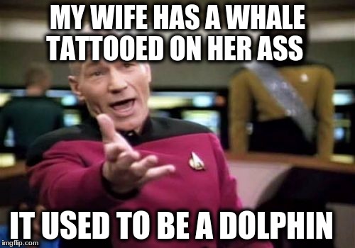 Picard Wtf | MY WIFE HAS A WHALE TATTOOED ON HER ASS; IT USED TO BE A DOLPHIN | image tagged in memes,picard wtf | made w/ Imgflip meme maker