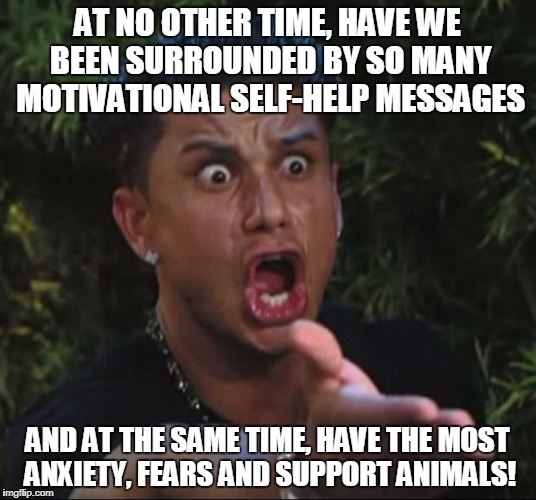 DJ Pauly D Meme | AT NO OTHER TIME, HAVE WE BEEN SURROUNDED BY SO MANY MOTIVATIONAL SELF-HELP MESSAGES; AND AT THE SAME TIME, HAVE THE MOST ANXIETY, FEARS AND SUPPORT ANIMALS! | image tagged in memes,dj pauly d | made w/ Imgflip meme maker