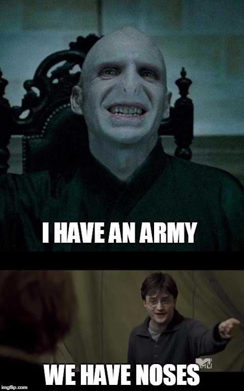 Harry Potter: 25 Hilarious Memes That Would Leave The Dark Lord Laughing