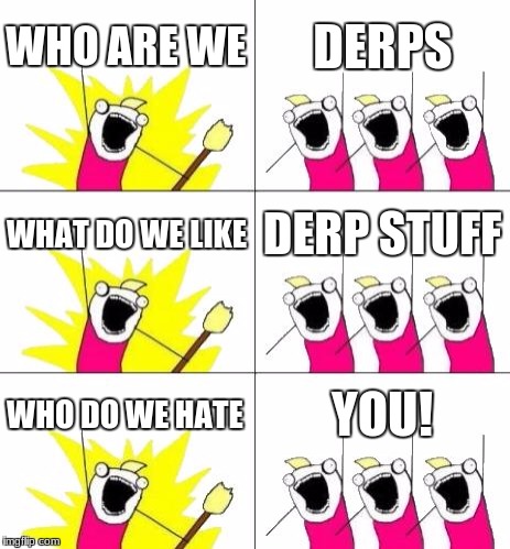 What Do We Want 3 | WHO ARE WE; DERPS; WHAT DO WE LIKE; DERP STUFF; WHO DO WE HATE; YOU! | image tagged in memes,what do we want 3 | made w/ Imgflip meme maker
