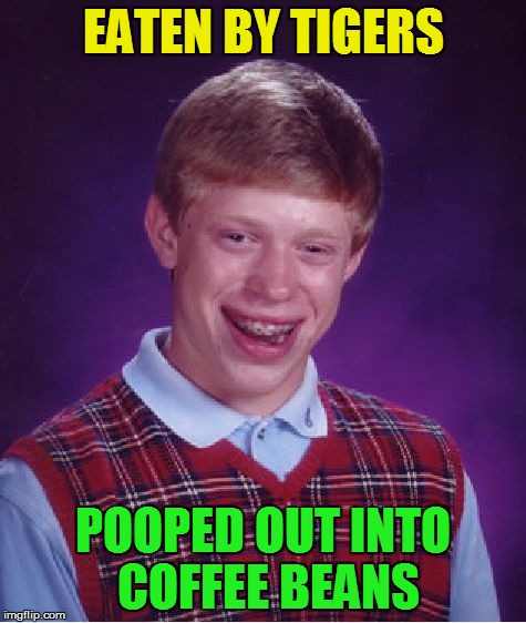 Bad Luck Brian Meme | EATEN BY TIGERS POOPED OUT INTO COFFEE BEANS | image tagged in memes,bad luck brian | made w/ Imgflip meme maker