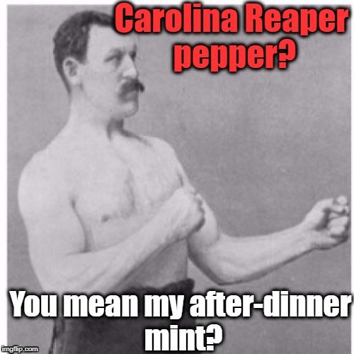 The Carolina Reaper is the current hottest pepper in the world! | Carolina Reaper pepper? You mean my after-dinner mint? | image tagged in overly manly man | made w/ Imgflip meme maker