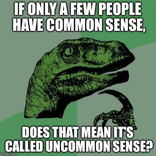 Philosoraptor Meme | IF ONLY A FEW PEOPLE HAVE COMMON SENSE, DOES THAT MEAN IT'S CALLED UNCOMMON SENSE? | image tagged in memes,philosoraptor | made w/ Imgflip meme maker