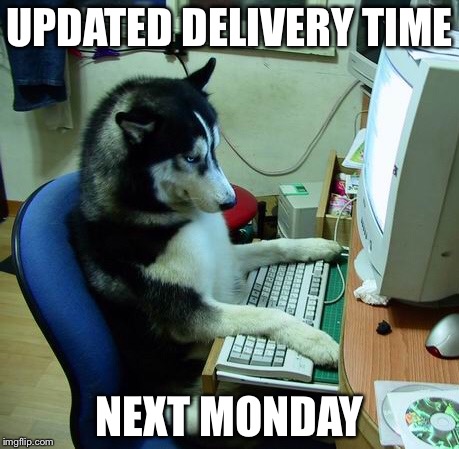 I Have No Idea What I Am Doing | UPDATED DELIVERY TIME; NEXT MONDAY | image tagged in memes,i have no idea what i am doing | made w/ Imgflip meme maker