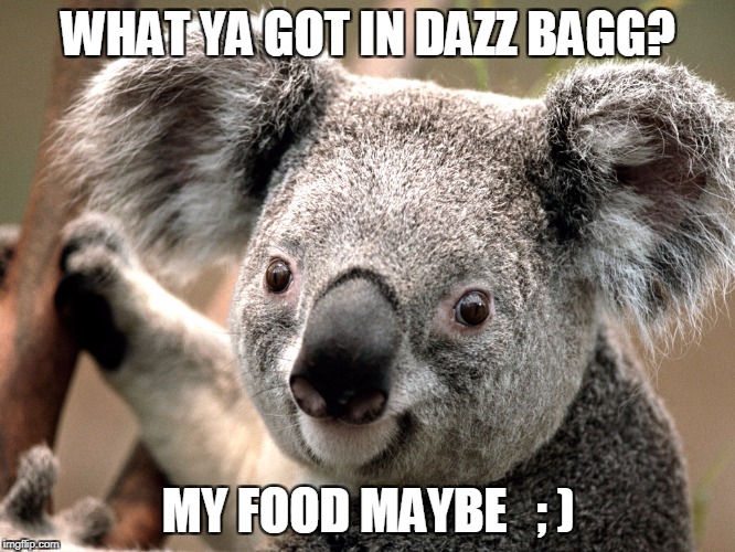 WHAT YA GOT IN DAZZ BAGG? MY FOOD MAYBE   ; ) | image tagged in that me koala | made w/ Imgflip meme maker