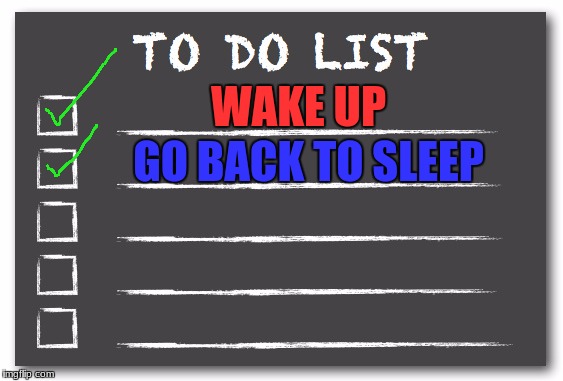 This is my "REAL TO DO LIST" | WAKE UP; GO BACK TO SLEEP | image tagged in to do list | made w/ Imgflip meme maker