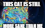 so true | THIS CAT IS STILL; MORE SANE THAN ME | image tagged in lol | made w/ Imgflip meme maker