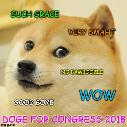 Doge Meme | SUCH GRACE; VERY SMAHT; NO BAMBOOZLE; WOW; GOOD BOYE; DOGE FOR CONGRESS 2018 | image tagged in memes,doge | made w/ Imgflip meme maker