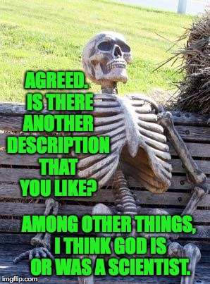 Waiting Skeleton Meme | AGREED.  IS THERE ANOTHER DESCRIPTION THAT YOU LIKE? AMONG OTHER THINGS, I THINK GOD IS OR WAS A SCIENTIST. | image tagged in memes,waiting skeleton | made w/ Imgflip meme maker