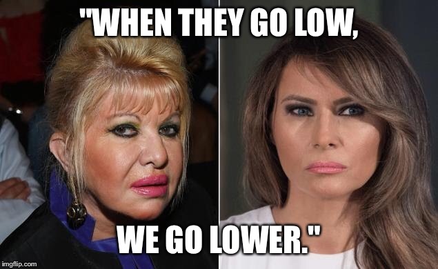 "WHEN THEY GO LOW, WE GO LOWER." | made w/ Imgflip meme maker
