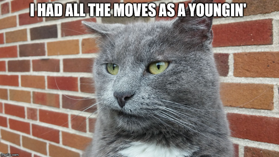 Evil Cat | I HAD ALL THE MOVES AS A YOUNGIN' | image tagged in evil cat | made w/ Imgflip meme maker