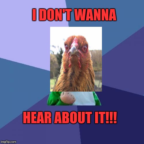 Success Kid Meme | I DON'T WANNA HEAR ABOUT IT!!! | image tagged in memes,success kid | made w/ Imgflip meme maker
