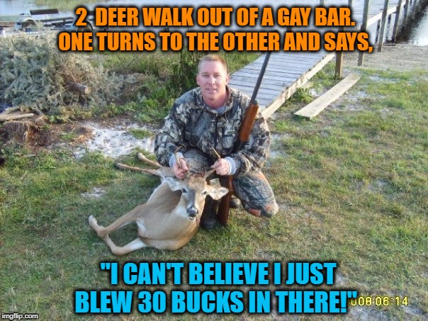 Queers, Steers, and Beers ! | 2  DEER WALK OUT OF A GAY BAR. ONE TURNS TO THE OTHER AND SAYS, "I CAN'T BELIEVE I JUST BLEW 30 BUCKS IN THERE!" | image tagged in wildlife,hunting,cowboys,rednecks,animals | made w/ Imgflip meme maker