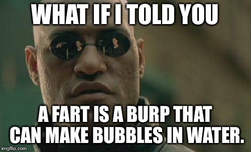 A fart is a burp that can make bubbles in water | WHAT IF I TOLD YOU; A FART IS A BURP THAT CAN MAKE BUBBLES IN WATER. | image tagged in memes,matrix morpheus,bubbles,fart jokes,burp,toilet humor | made w/ Imgflip meme maker