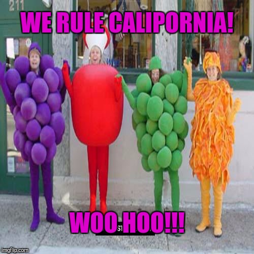 WE RULE CALIPORNIA! WOO HOO!!! | made w/ Imgflip meme maker