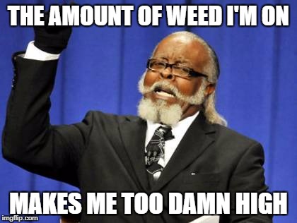 The weed makes high | THE AMOUNT OF WEED I'M ON; MAKES ME TOO DAMN HIGH | image tagged in memes,too damn high | made w/ Imgflip meme maker