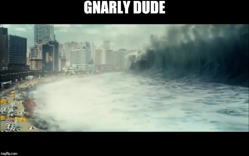 Hurricane Nate | GNARLY DUDE | image tagged in cute,hillary,rest in pieces,down for the count,ftr,jd | made w/ Imgflip meme maker
