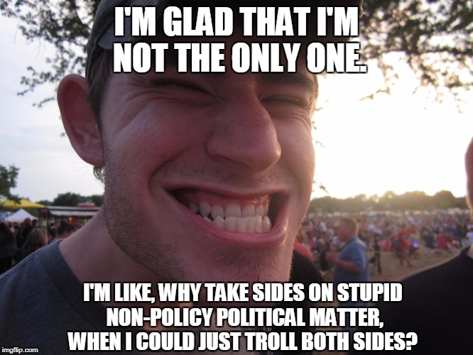 I'M GLAD THAT I'M NOT THE ONLY ONE. I'M LIKE, WHY TAKE SIDES ON STUPID NON-POLICY POLITICAL MATTER, WHEN I COULD JUST TROLL BOTH SIDES? | made w/ Imgflip meme maker