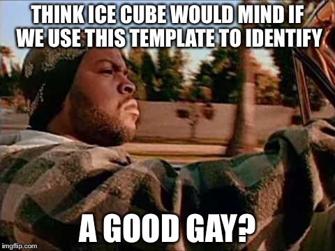 When You’re Completely Out of Meme Ideas | THINK ICE CUBE WOULD MIND IF WE USE THIS TEMPLATE TO IDENTIFY; A GOOD GAY? | image tagged in memes,today was a good day | made w/ Imgflip meme maker