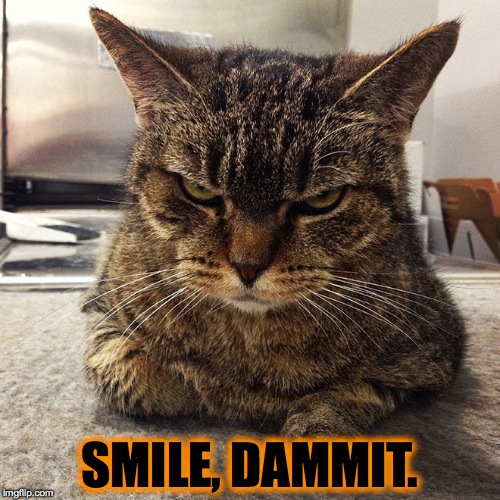 I am so out of ideas | SMILE, DAMMIT. | image tagged in dammit | made w/ Imgflip meme maker