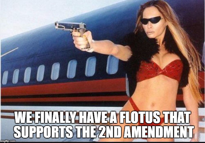 FLOTUS Supports the Second Amendment | WE FINALLY HAVE A FLOTUS THAT SUPPORTS THE 2ND AMENDMENT | image tagged in flotus,melania trump,trump,guns,2nd amendment | made w/ Imgflip meme maker