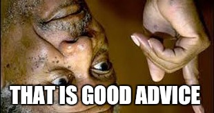 he is right you know  | THAT IS GOOD ADVICE | image tagged in he is right you know | made w/ Imgflip meme maker