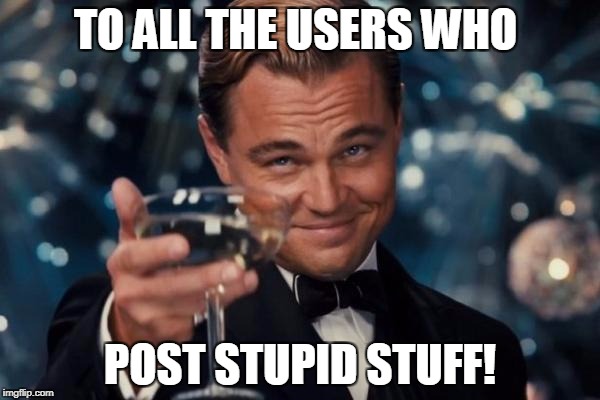 Leonardo Dicaprio Cheers Meme | TO ALL THE USERS WHO; POST STUPID STUFF! | image tagged in memes,leonardo dicaprio cheers | made w/ Imgflip meme maker