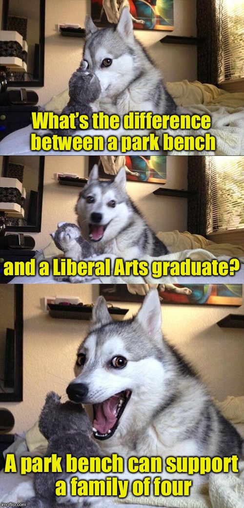 Bad Pun Dog | What’s the difference between a park bench; and a Liberal Arts graduate? A park bench can support a family of four | image tagged in memes,bad pun dog | made w/ Imgflip meme maker