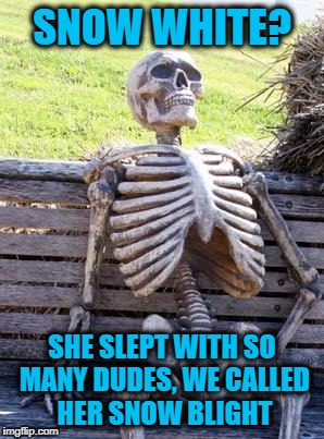 Waiting Skeleton Meme | SNOW WHITE? SHE SLEPT WITH SO MANY DUDES, WE CALLED HER SNOW BLIGHT | image tagged in memes,waiting skeleton | made w/ Imgflip meme maker