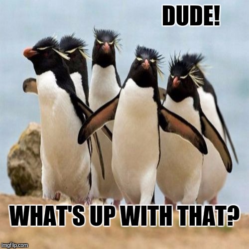 DUDE! WHAT'S UP WITH THAT? | made w/ Imgflip meme maker