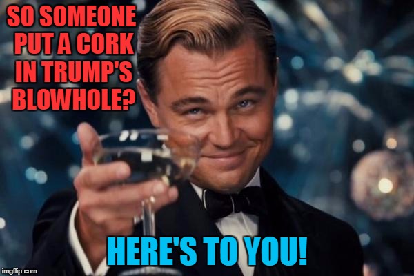 Put A Cork In It | SO SOMEONE PUT A CORK IN TRUMP'S BLOWHOLE? HERE'S TO YOU! | image tagged in memes,leonardo dicaprio cheers,donald trump | made w/ Imgflip meme maker