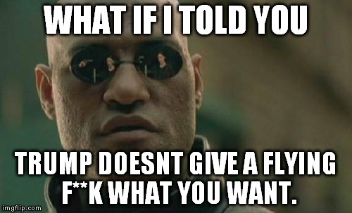 Matrix Morpheus | WHAT IF I TOLD YOU; TRUMP DOESNT GIVE A FLYING F**K WHAT YOU WANT. | image tagged in memes,matrix morpheus | made w/ Imgflip meme maker