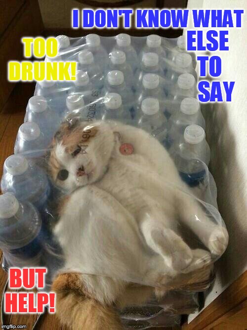 Can Somebody Help Already | I DON'T KNOW WHAT; ELSE TO    SAY; TOO DRUNK! BUT HELP! | image tagged in memes,cat meme,stuck,water bottle,wrapping,help me | made w/ Imgflip meme maker