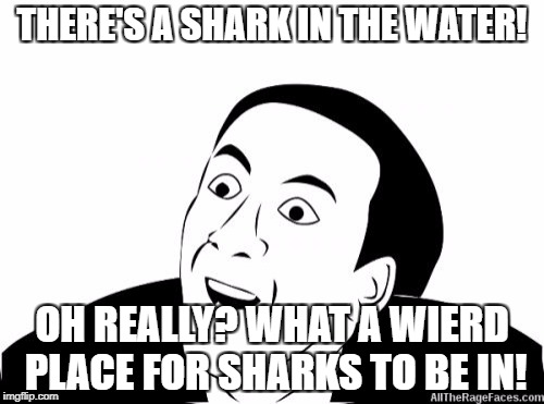 You Dont Say | THERE'S A SHARK IN THE WATER! OH REALLY? WHAT A WIERD PLACE FOR SHARKS TO BE IN! | image tagged in you dont say | made w/ Imgflip meme maker