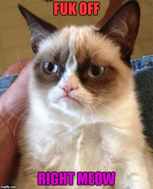 Grumpy Cat | FUK OFF; RIGHT MEOW | image tagged in memes,grumpy cat | made w/ Imgflip meme maker