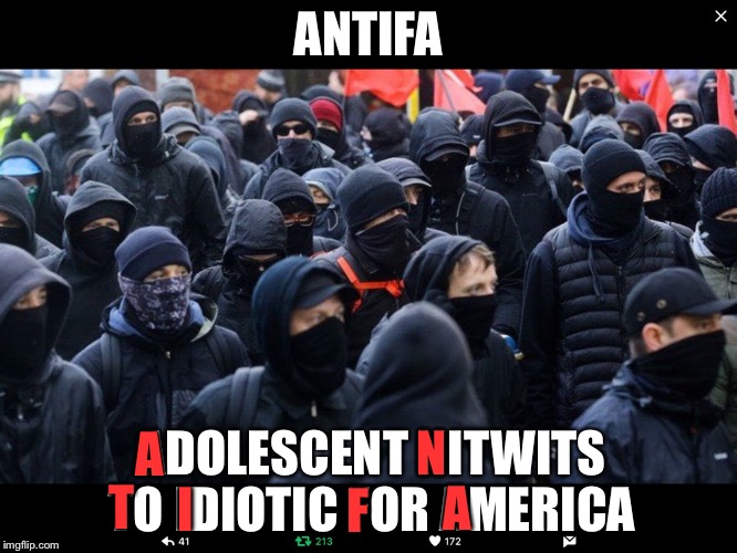 Antifa | ANTIFA; N; A; ADOLESCENT NITWITS TO IDIOTIC FOR AMERICA; T; I; F; A | image tagged in antifa | made w/ Imgflip meme maker
