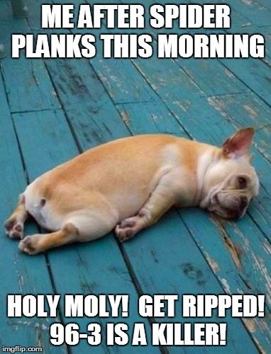 French Bulldog Tired | ME AFTER SPIDER PLANKS THIS MORNING; HOLY MOLY!  GET RIPPED! 96-3 IS A KILLER! | image tagged in french bulldog tired | made w/ Imgflip meme maker